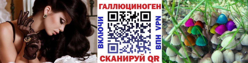 Галлюциногенные грибы мицелий Купить закладки Байкальск